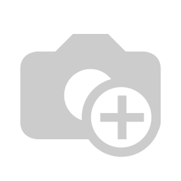 CORE Support - Odoo